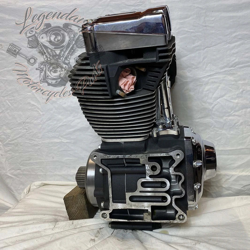 1690 Engine (103 ci) OEM 19291-14