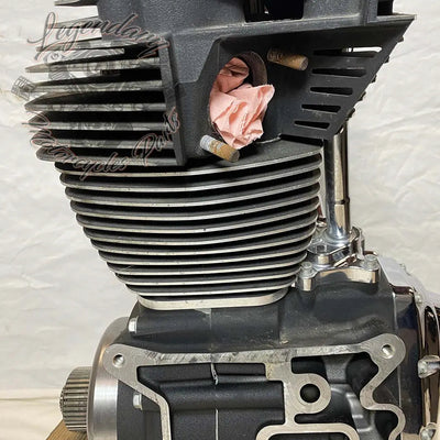 1690 Engine (103 ci) OEM 19291-14