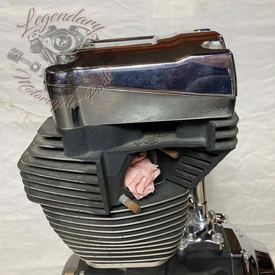 1690 Engine (103 ci) OEM 19291-14