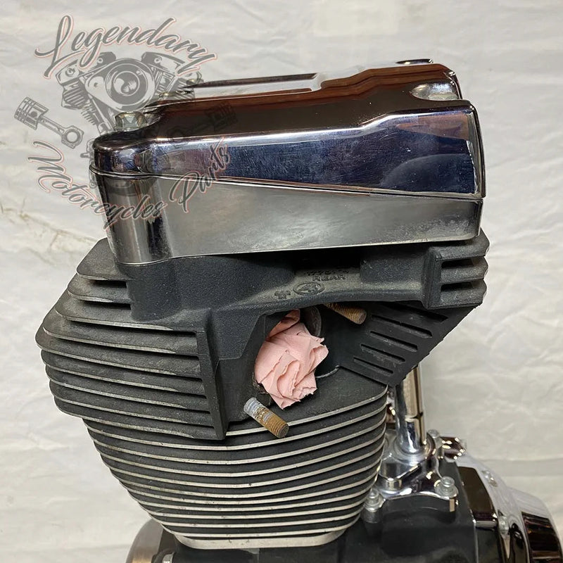 1690 Engine (103 ci) OEM 19291-14