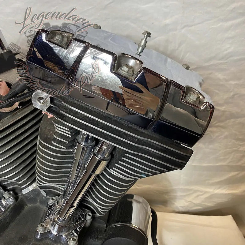 1690 Engine (103 ci) OEM 19291-14