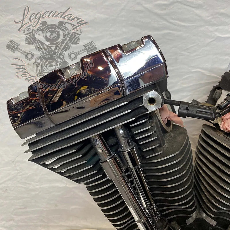 1690 Engine (103 ci) OEM 19291-14