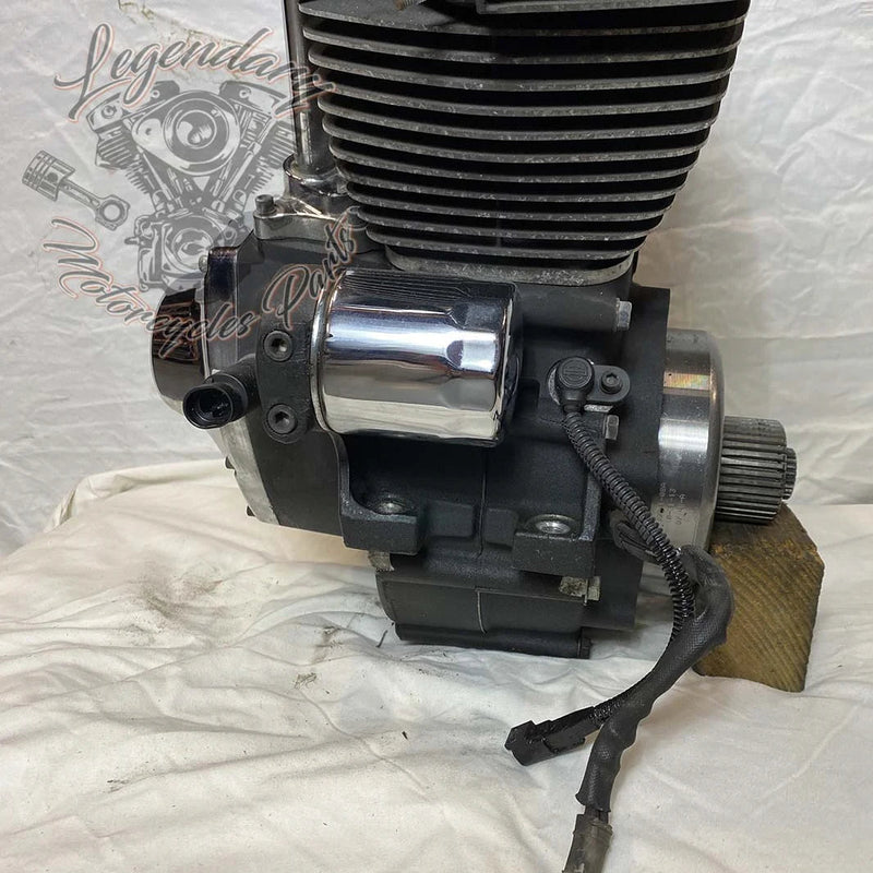 1690 Engine (103 ci) OEM 19291-14