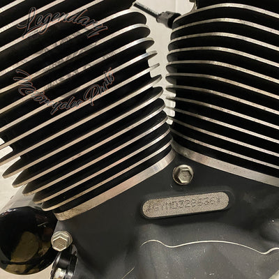 Dyna 1690 (103ci) engine OEM 19595-14