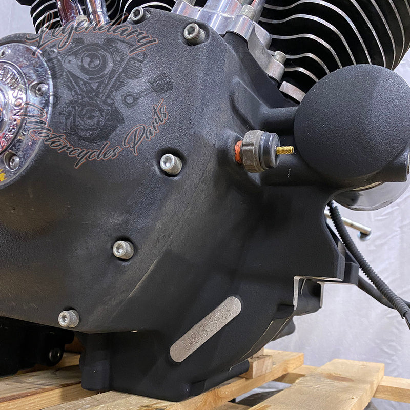 Dyna 1690 (103ci) engine OEM 19595-14