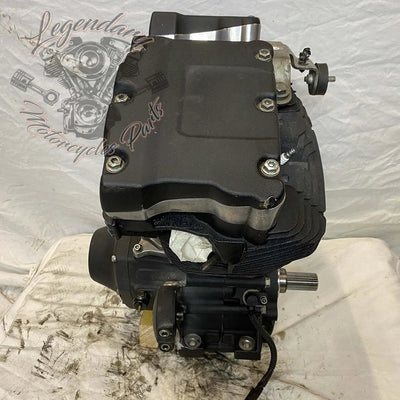 Dyna 1690 (103ci) Engine OEM 19595-16