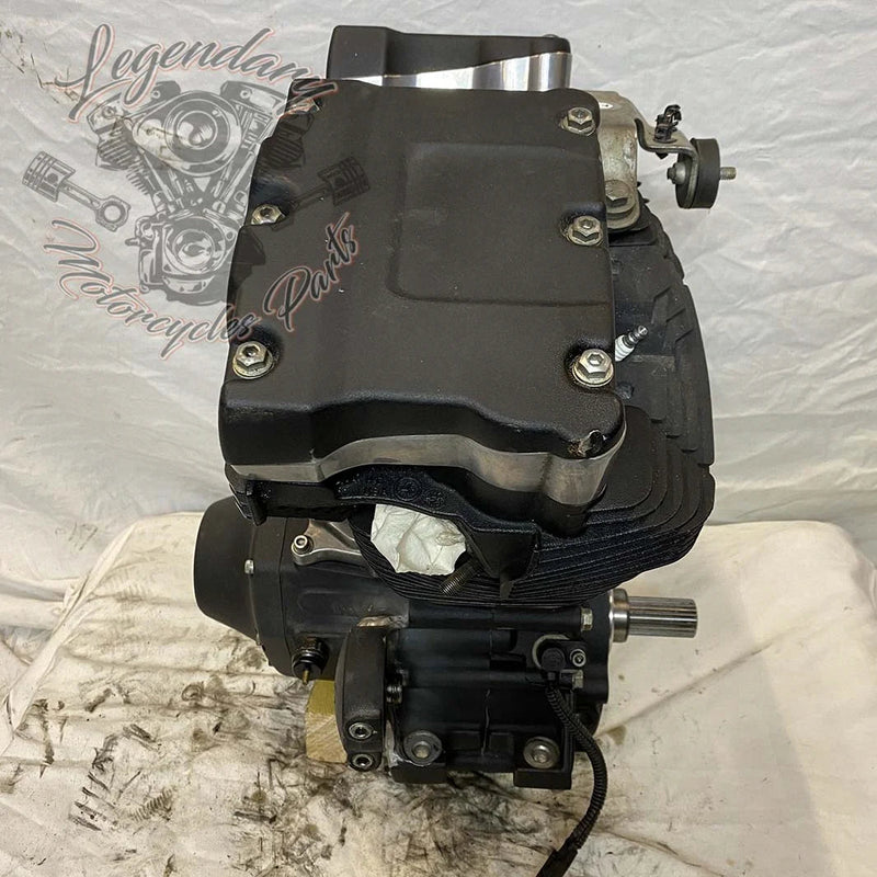 Dyna 1690 (103ci) Engine OEM 19595-16