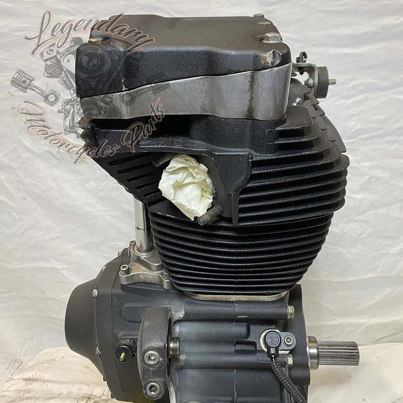 Dyna 1690 (103ci) Engine OEM 19595-16