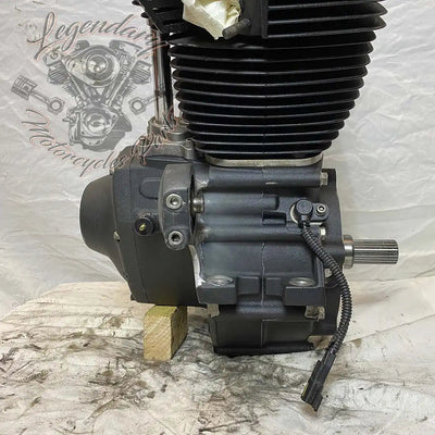 Dyna 1690 (103ci) Engine OEM 19595-16