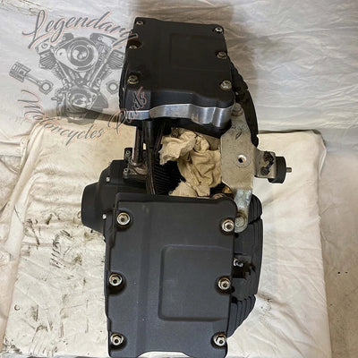 Dyna 1690 (103ci) Engine OEM 19595-16