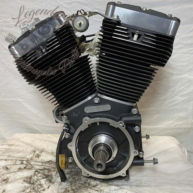 Dyna 1690 (103ci) Engine OEM 19595-16