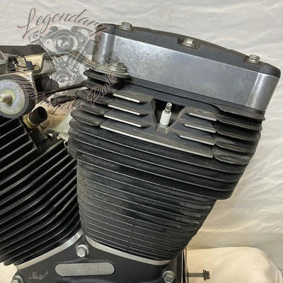 Dyna 1690 (103ci) Engine OEM 19595-16
