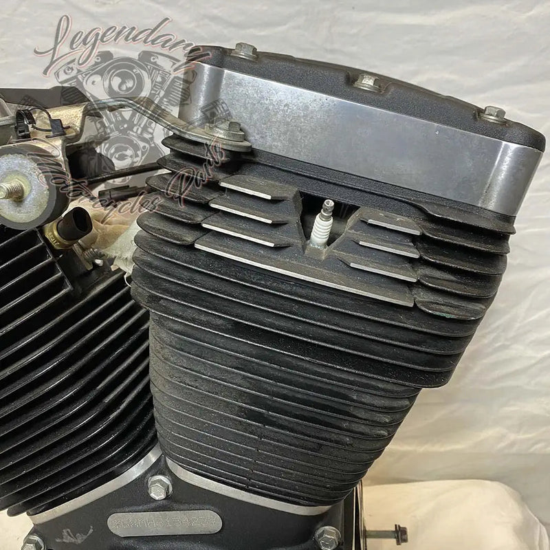 Dyna 1690 (103ci) Engine OEM 19595-16