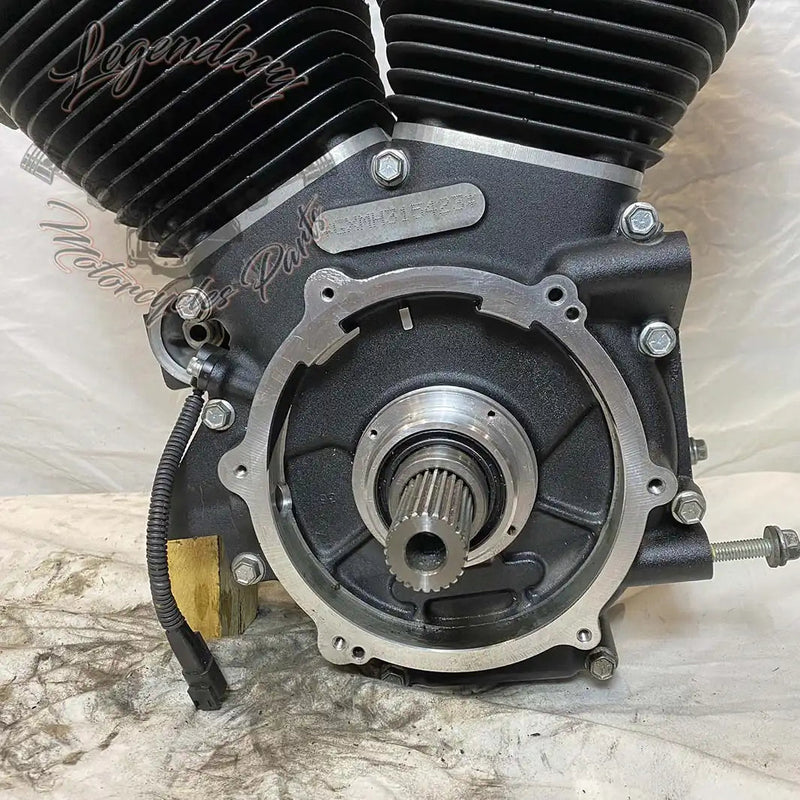Dyna 1690 (103ci) Engine OEM 19595-16
