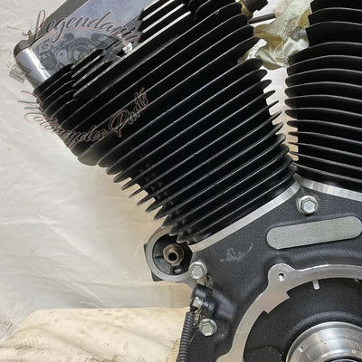Dyna 1690 (103ci) Engine OEM 19595-16