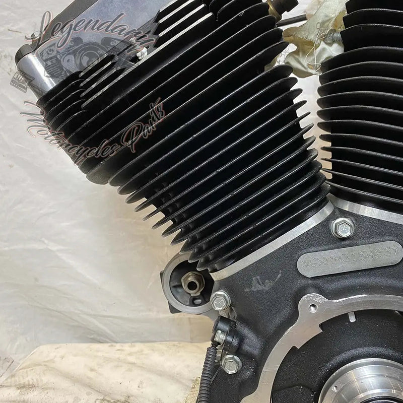 Dyna 1690 (103ci) Engine OEM 19595-16