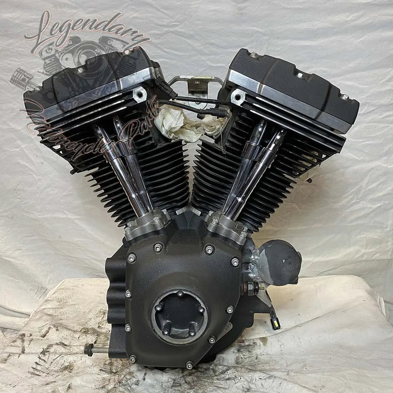 Dyna 1690 (103ci) Engine OEM 19595-16