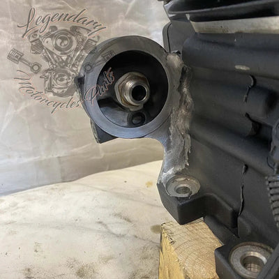 Dyna 1690 (103ci) Engine OEM 19595-16