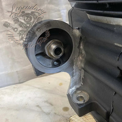 Dyna 1690 (103ci) Engine OEM 19595-16