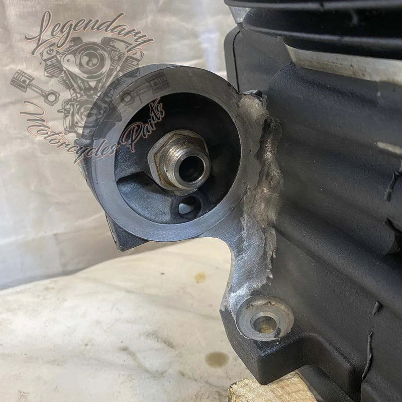 Dyna 1690 (103ci) Engine OEM 19595-16