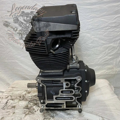Dyna 1690 (103ci) Engine OEM 19595-16