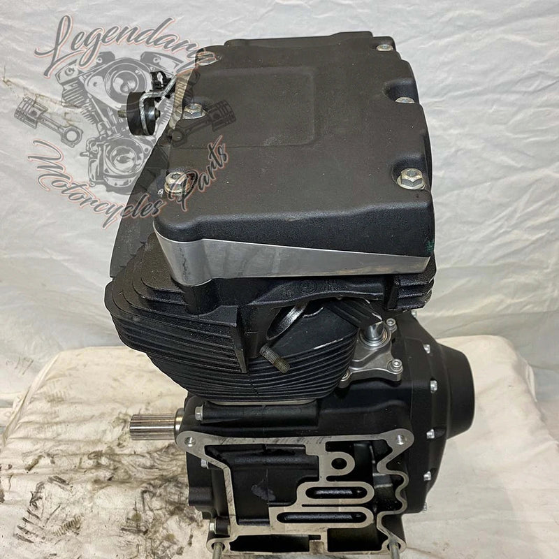 Dyna 1690 (103ci) Engine OEM 19595-16