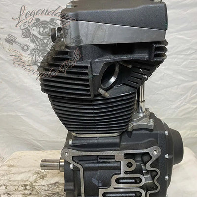 Dyna 1690 (103ci) Engine OEM 19595-16