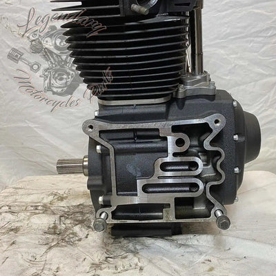 Dyna 1690 (103ci) Engine OEM 19595-16