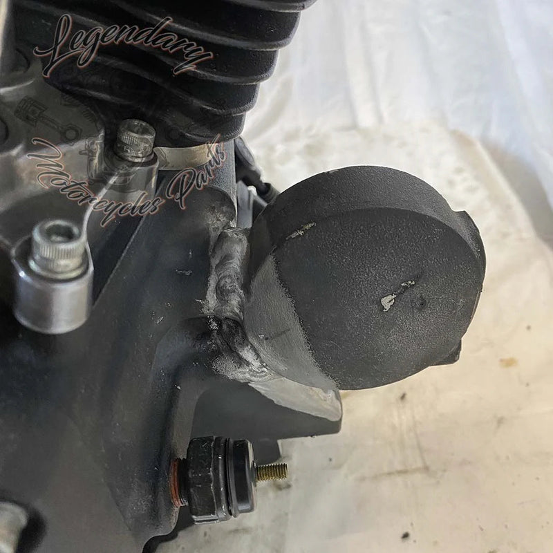 Dyna 1690 (103ci) Engine OEM 19595-16
