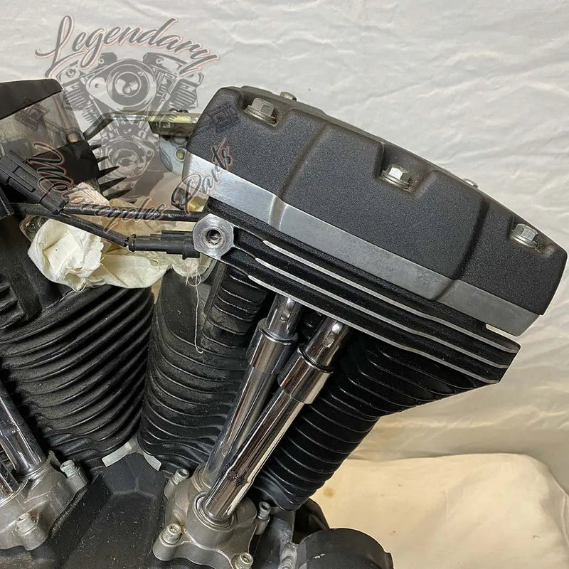 Dyna 1690 (103ci) Engine OEM 19595-16