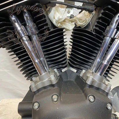 Dyna 1690 (103ci) Engine OEM 19595-16