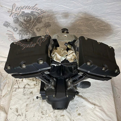 Dyna 1690 (103ci) Engine OEM 19595-16