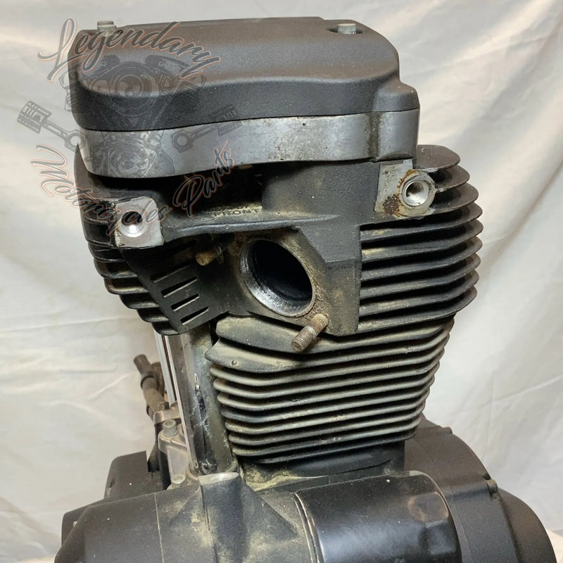 Motore Sportster 1200 OEM 19606-15