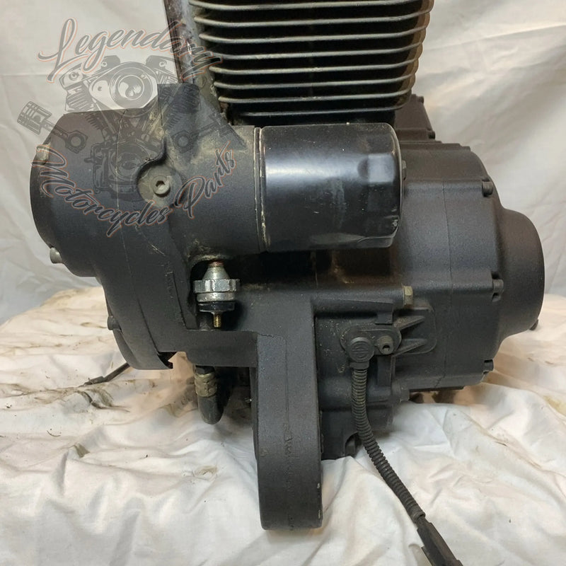 Motore Sportster 1200 OEM 19606-15