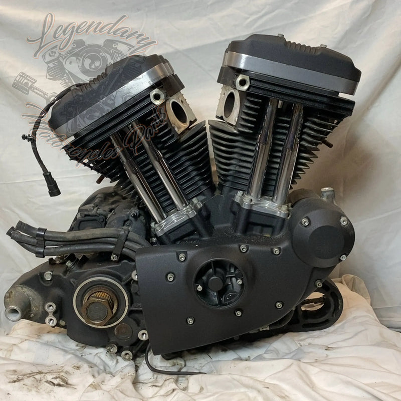 Motore Sportster 1200 OEM 19606-15
