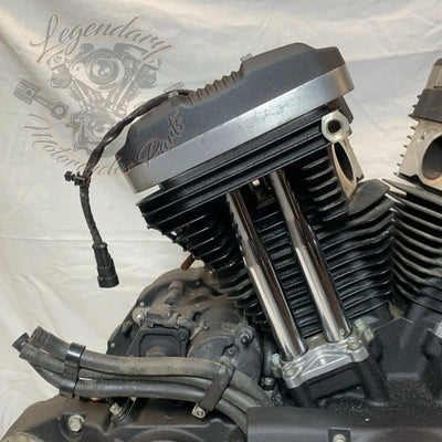 Motore Sportster 1200 OEM 19606-15