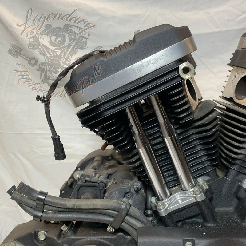 Motore Sportster 1200 OEM 19606-15