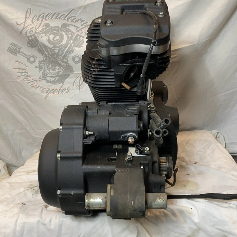 Motore Sportster 1200 OEM 19606-15