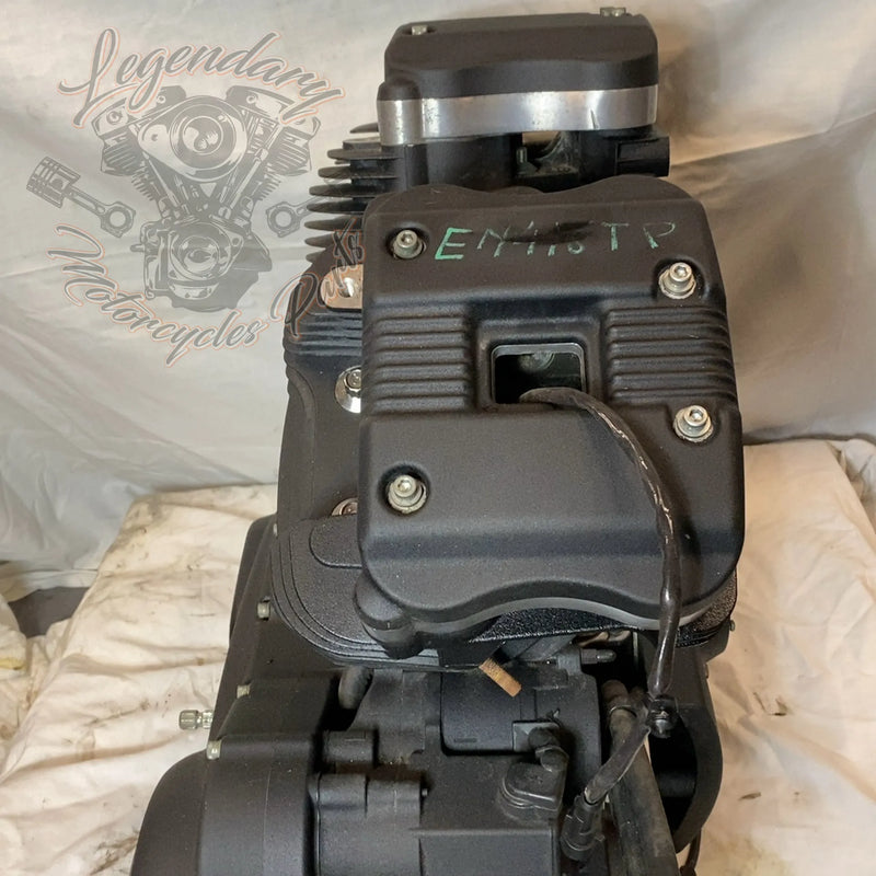 Motore Sportster 1200 OEM 19606-15