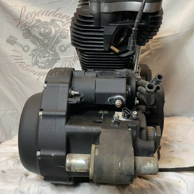 Motore Sportster 1200 OEM 19606-15