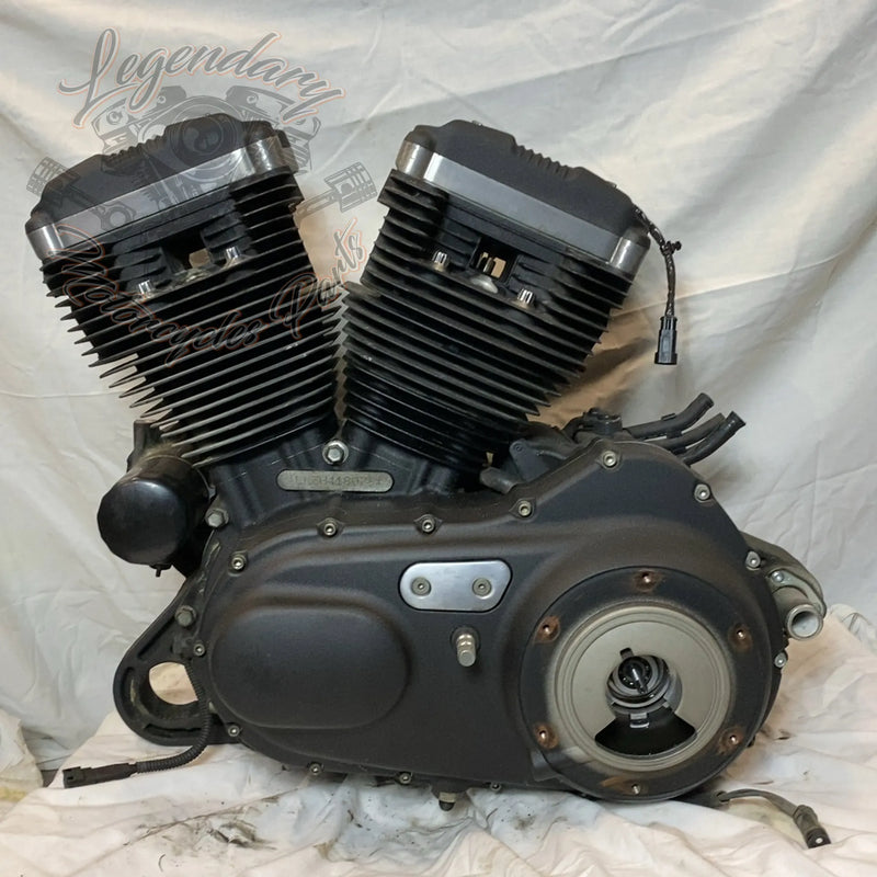 Motore Sportster 1200 OEM 19606-15