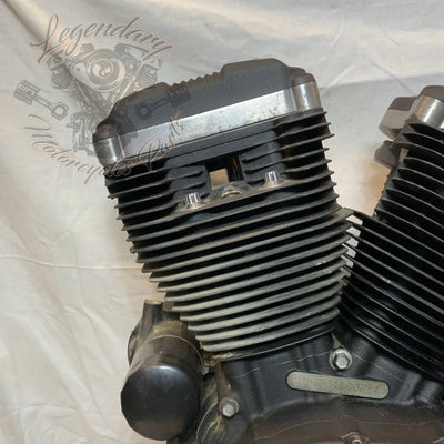 Motore Sportster 1200 OEM 19606-15
