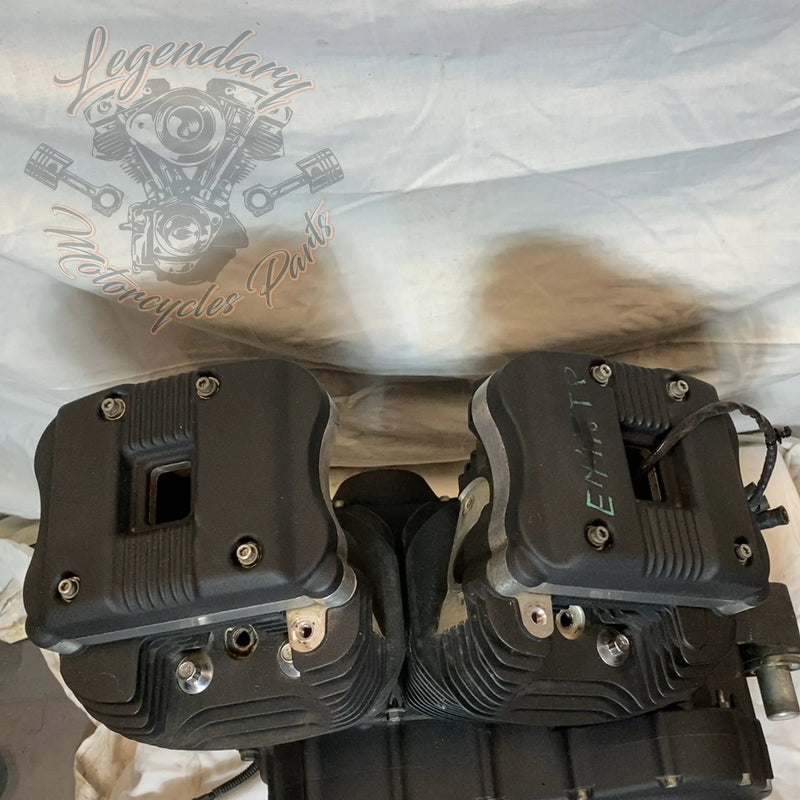 Motore Sportster 1200 OEM 19606-15