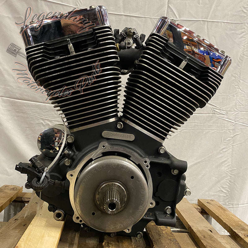Softail 1584 (96ci) engine OEM 19612-10