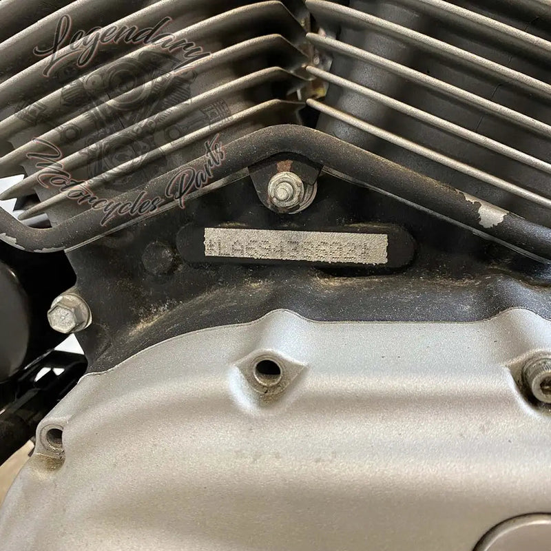 Moteur XR1200 OEM 19638-09