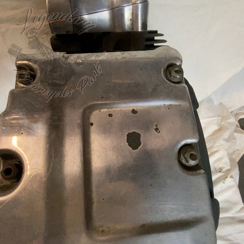 Moteur Dyna 1584 (96ci) OEM 19863-09 – Legendary Parts