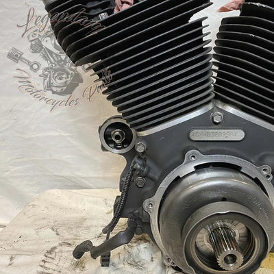 Moteur Dyna 1584 (96 ci) OEM 19863-11