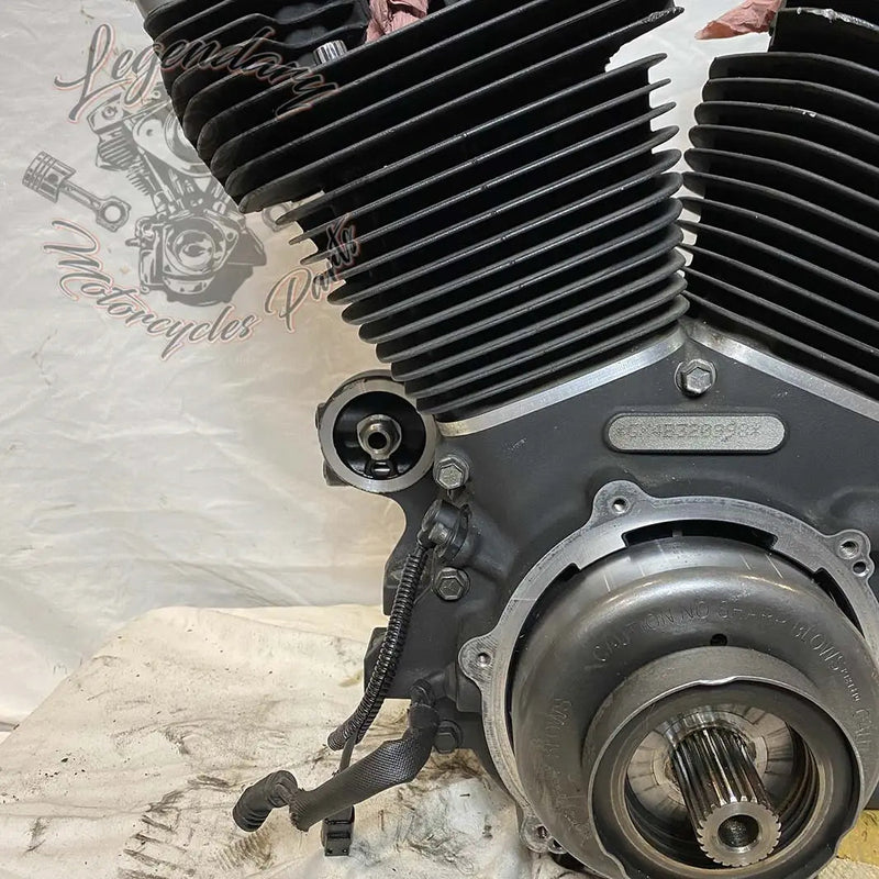 Moteur Dyna 1584 (96 ci) OEM 19863-11