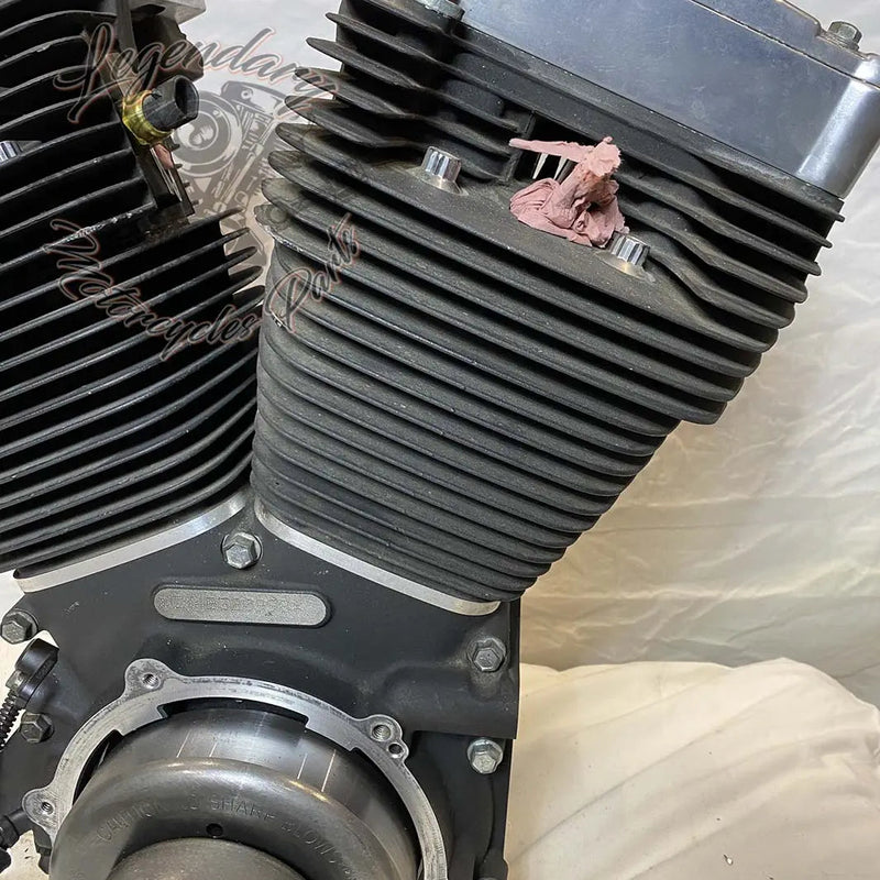 Moteur Dyna 1584 (96 ci) OEM 19863-11