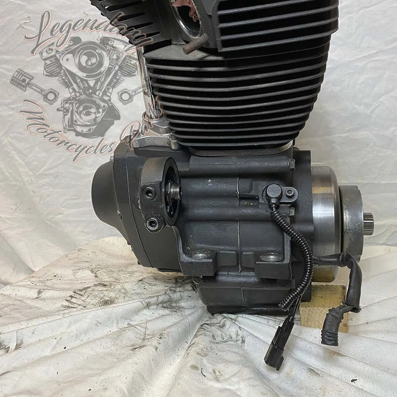 Moteur Dyna 1584 (96 ci) OEM 19863-11
